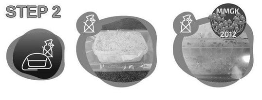 Step 2 in magic mushroom growing