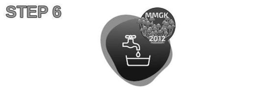 Step 6 in magic mushroom growing